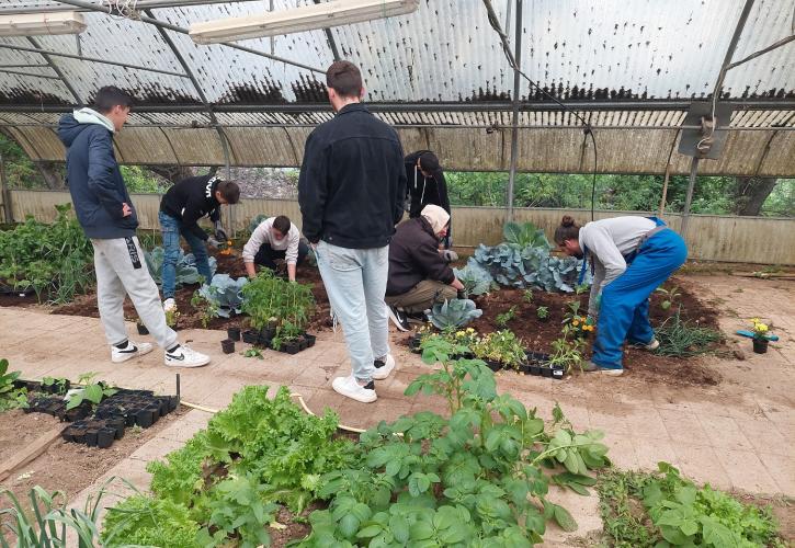 Carbon farming schools: Μαθητές γνώρισαν τη βιώσιμη γεωργία με την υποστήριξη της ΔΕΗ