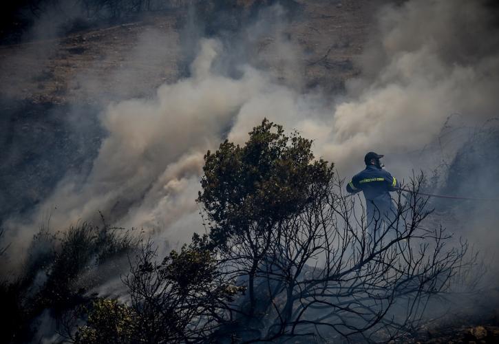 Χωρίς ενεργό μέτωπο η πυρκαγιά στο Σοφικό Κορινθίας - Πολύ υψηλός κίνδυνος πυρκαγιάς και σήμερα