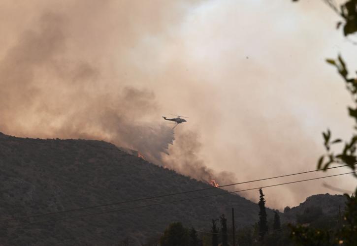 Υπό μερικό έλεγχο η πυρκαγιά στο Δοκό Χαλκίδας