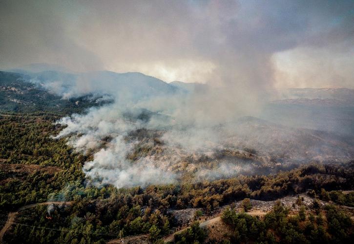 Κάρυστος: Ισχυρή πυρκαγιά σε δασική έκταση στον Μελισσώνα - Στην κατηγορία κινδύνου 4 η Αττική το Σάββατο