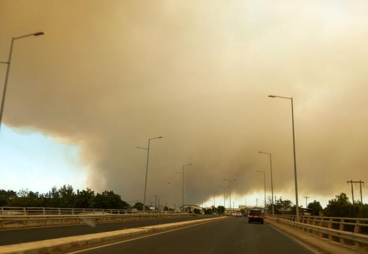 Αλεξανδρούπολη: Μέχρι χθες κάηκαν πάνω από 55.000 στρέμματα