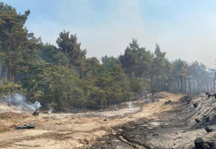 Για 12η ημέρα καίγεται το δάσος της Δαδιάς