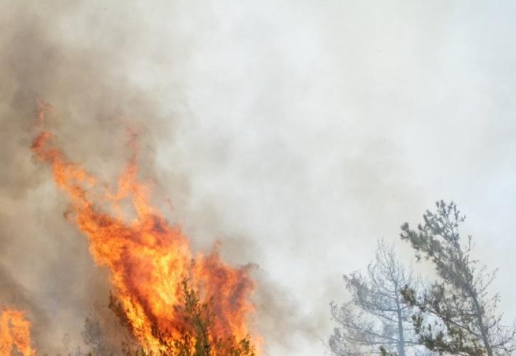Φωτιά στην Κάρυστο: Ενισχύθηκαν οι δυνάμεις της Πυροσβεστικής - Καίει σε δύσβατη περιοχή