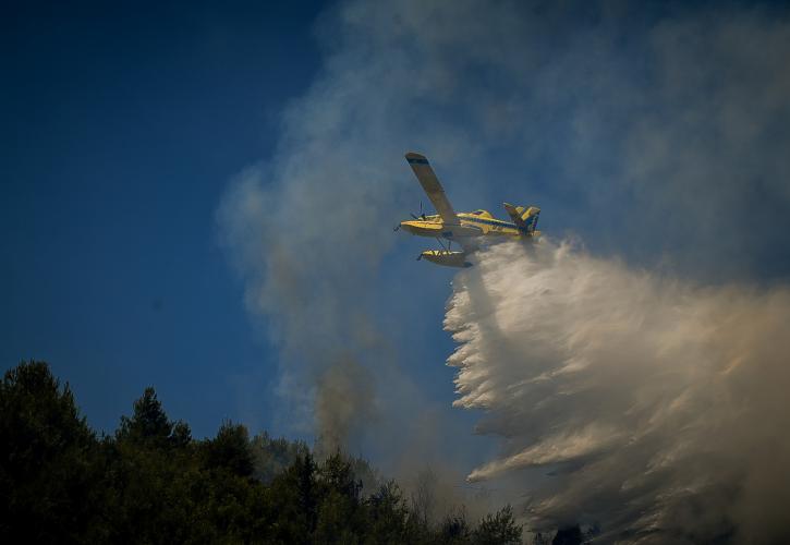 Πυρκαγιά σε αγροτοδασική έκταση στο Κρανίδι Αργολίδας - Μήνυμα του 112