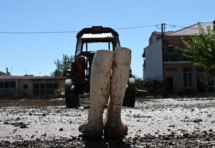 Θεσσαλία: Αγρότες και κτηνοτρόφοι μετρούν τις «πληγές» τους από τη θεομηνία «Daniel»