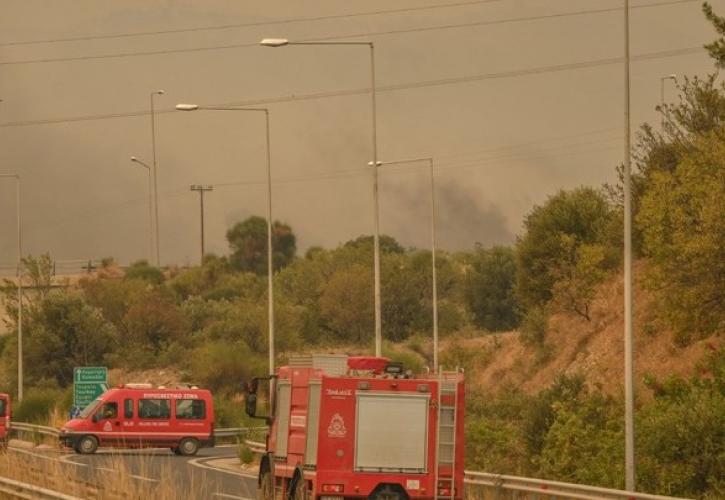 Πυρκαγιές: Παράταση στις φορολογικές δηλώσεις και αναστολή οφειλών για τους κατοίκους περιοχών του Έβρου
