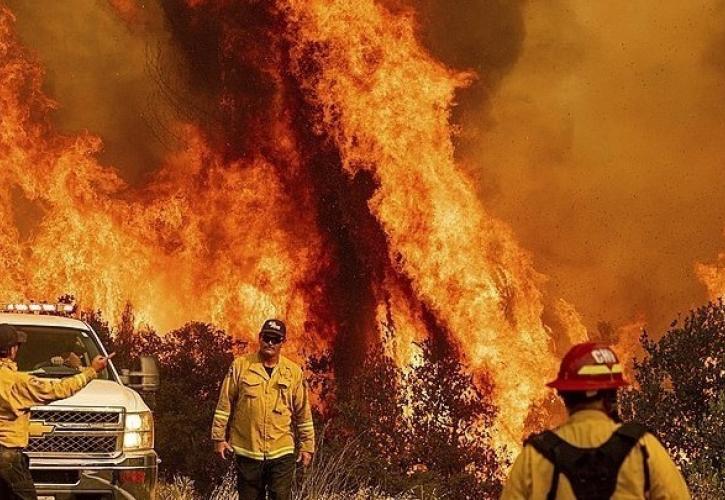Περιβάλλον: Η συχνότητα και το μέγεθος των ακραίων δασικών πυρκαγιών έχουν διπλασιαστεί τα τελευταία 20 χρόνια