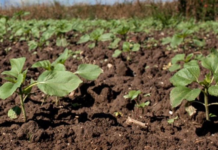 Παρατείνεται η διορία για την υποβολή συμβάσεων συμβολαιακής γεωργίας στην ΑΑΔΕ