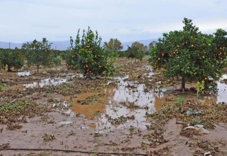 Πλημμύρισαν χιλιάδες στρέμματα καλλιεργειών στη Θεσπρωτία