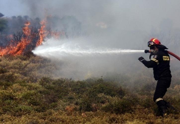 Μεσσηνία: Σε εξέλιξη πυρκαγιά στην περιοχή Πλάτη