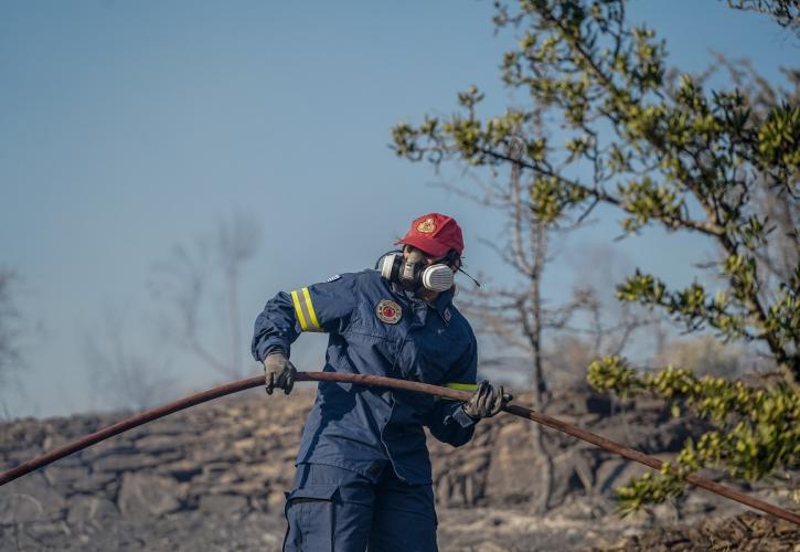 Κρήτη: Σε ύφεση η πυρκαγιά στον Δήμο Γόρτυνας Ηρακλείου