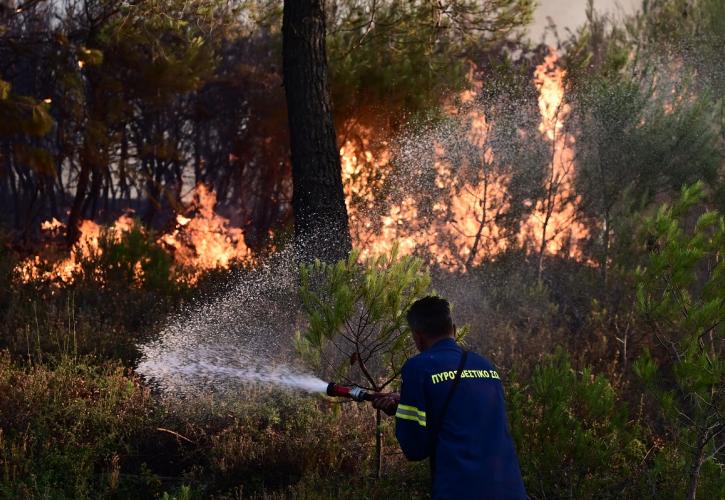 Ολονύχτια μάχη με τις φλόγες στη Σταμάτα- Ένας νεκρός από ανακοπή