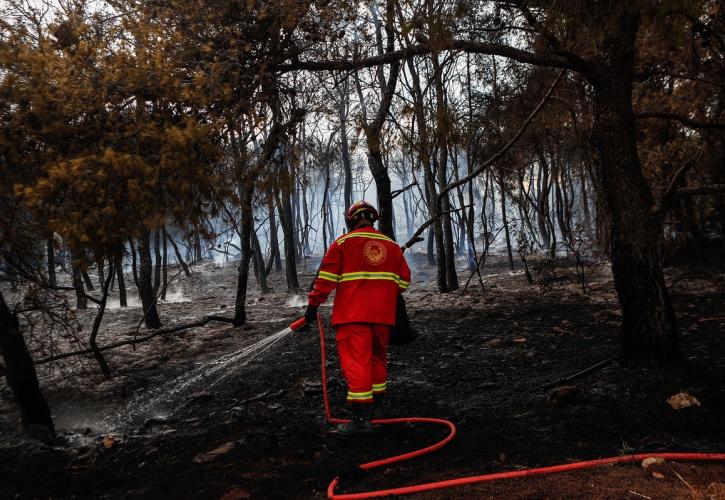Μυτιλήνη: Άμεση κατάσβεση πυρκαγιάς σε χαμηλή βλάστηση στην Β. Λέσβο