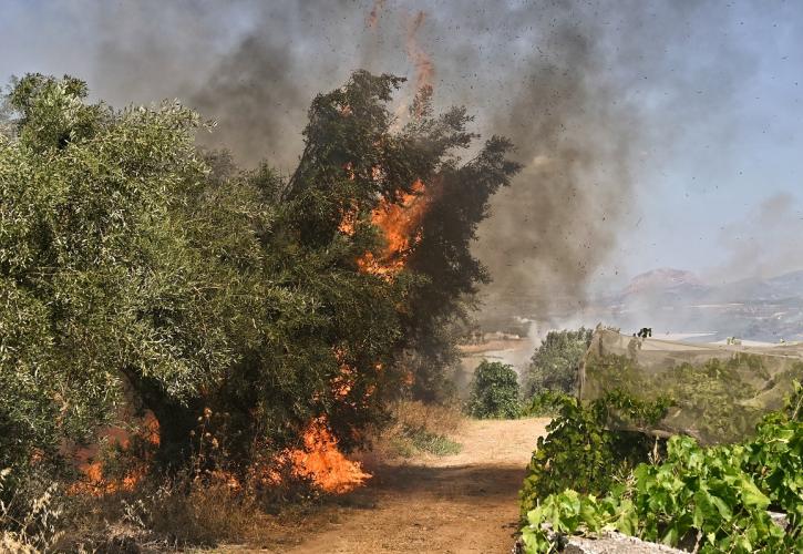Οριοθετήθηκε η φωτιά στον Προφήτη Ηλία Ηρακλείου Κρήτης - Συνεχίζονται οι επιχειρήσεις