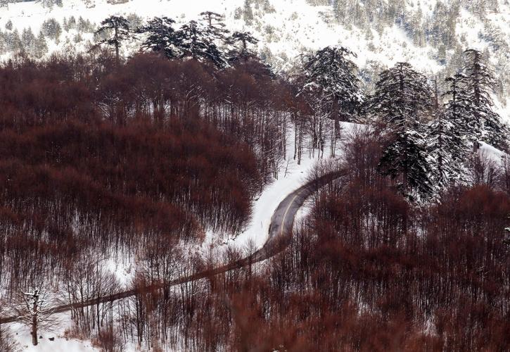 ΤΑΙΠΕΔ: Πώς θα αναβαθμιστεί το Χιονοδρομικό Κέντρο Βασιλίτσας – Πρόσκληση ενδιαφέροντος για 25ετή «τουριστική» εκμετάλλευση