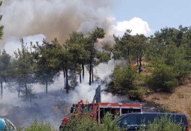 Πυρκαγιά σε αγροτοδασική έκταση στην Κορομηλιά Δομοκού - Δύο μηνύματα του 112 προς τους κατοίκους