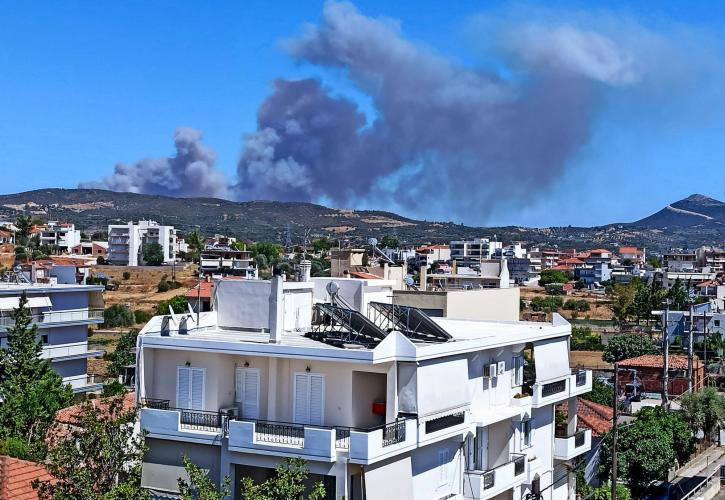 Διπλό πύρινο μέτωπο στην Εύβοια: 112 για εκκενώσεις οικισμών – Οι φλόγες πέρασαν την Εθνική Οδό