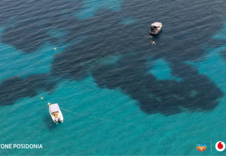 Vodafone Posidonia: Το πρώτο υπερσύγχρονο υποβρύχιο παρατηρητήριο για τον υποθαλάσσιο πνεύμονα της Μεσογείου