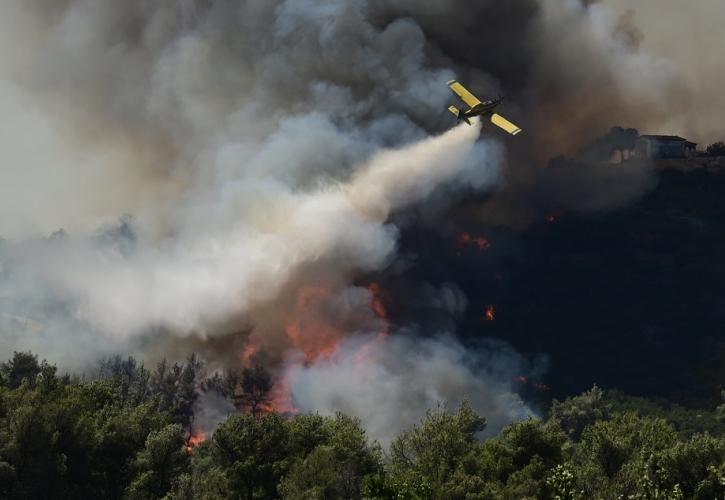 Αττική: 700.000 στρέμματα δάσους έγιναν στάχτη την τελευταία 8ετία