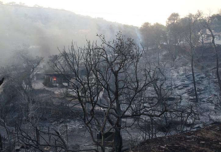 Πυροσβεστική: 41 πυρκαγιές σε όλη την χώρα το τελευταίο 24ωρο