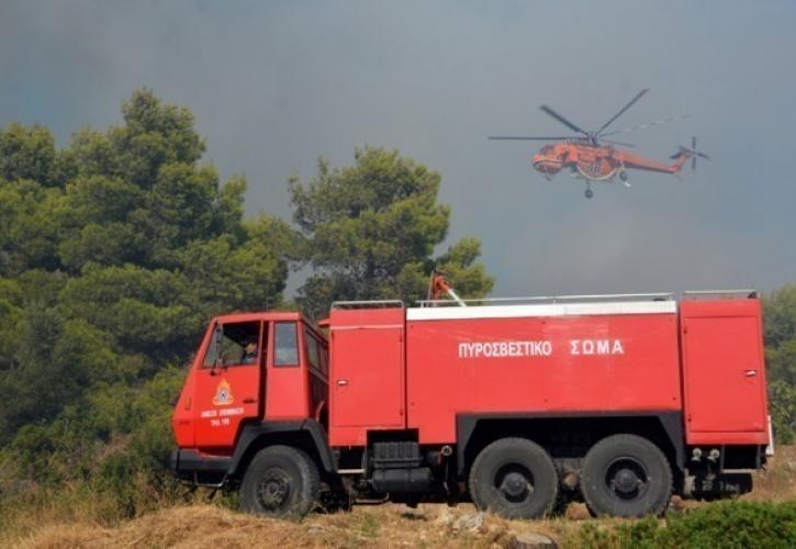 Ξάνθη: Πυρκαγιά σε δασική έκταση στην περιοχή Τοξότες Ξάνθης