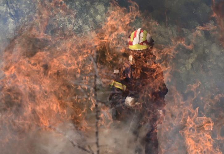 Πυροσβεστική: 17 φωτιές σε όλη την Ελλάδα το τελευταίο 24ωρο