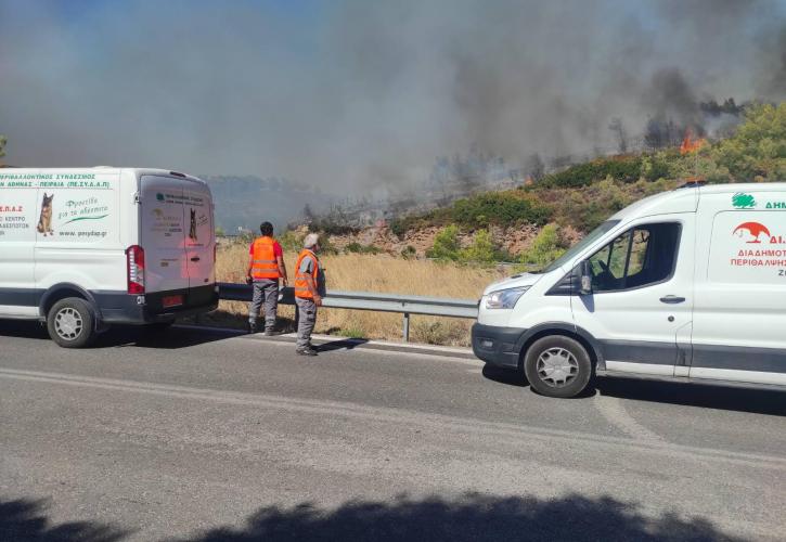 Διάσωση ζώων μέσα από τις φλόγες