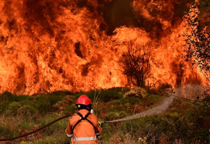 Ξυλόκαστρο: Σε κάπνισμα μελισσιών φαίνεται ότι οφείλεται η έναρξη της πυρκαγιάς στα Ροζενά