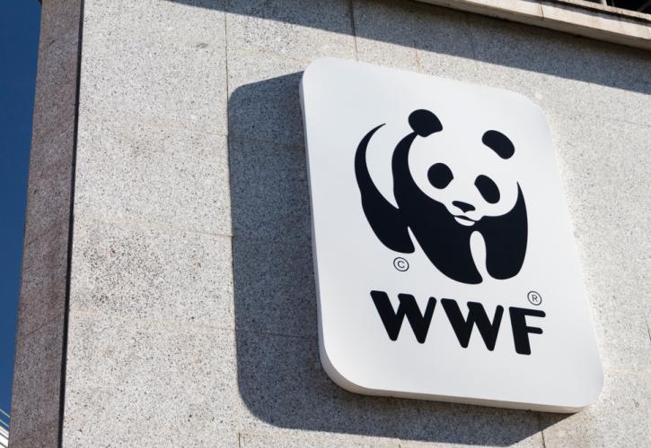 WWF: Οι πληθυσμοί της άγριας πανίδας έχουν μειωθεί κατά 73% την τελευταία 50ετία