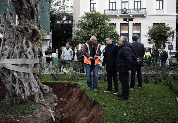 Δούκας: Φτάσαμε στην Αθήνα τις 5.000 δενδροφυτεύσεις μέσα στο 2024