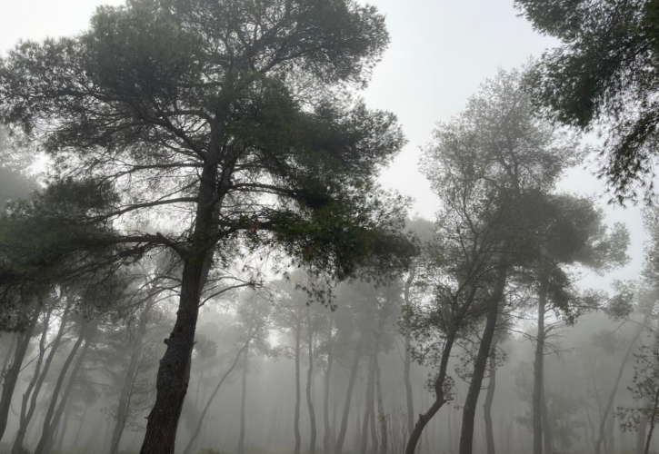 Είναι η συνέντευξη του Πρωθυπουργού για τα Τέμπη game changer του πολιτικού σκηνικού;