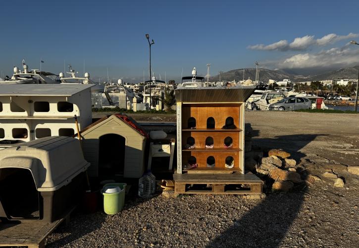 Πολυώροφα γατόσπιτα για αδέσποτα δημιούργησαν εθελοντές στη Γλυφάδα