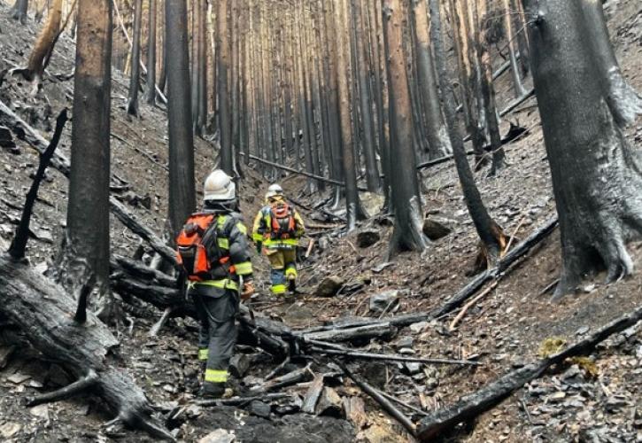 Υπό έλεγχο τέθηκε η χειρότερη δασική πυρκαγιά των τελευταίων 50 ετών στην Ιαπωνία