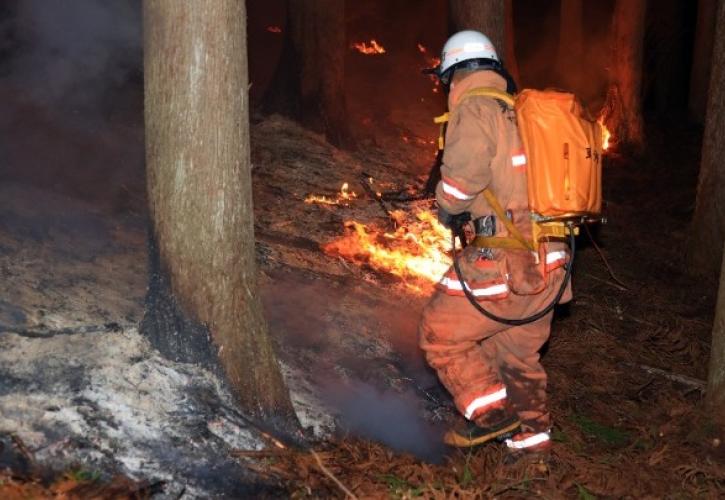 Ιαπωνία: Για πέμπτη ημέρα καίει ανεξέλεγκτη η χειρότερη δασική πυρκαγιά εδώ και 50 χρόνια