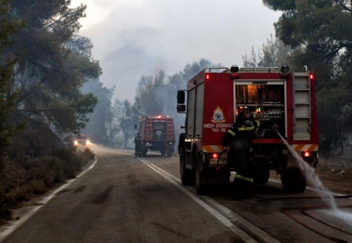 Ζάκυνθος: Σύλληψη για τις δυο πυρκαγιές στις περιοχές Καταλούπου και Αγαλάς